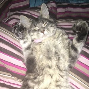 Meet your Posher, Bethany